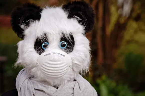 Rollers Casino Support